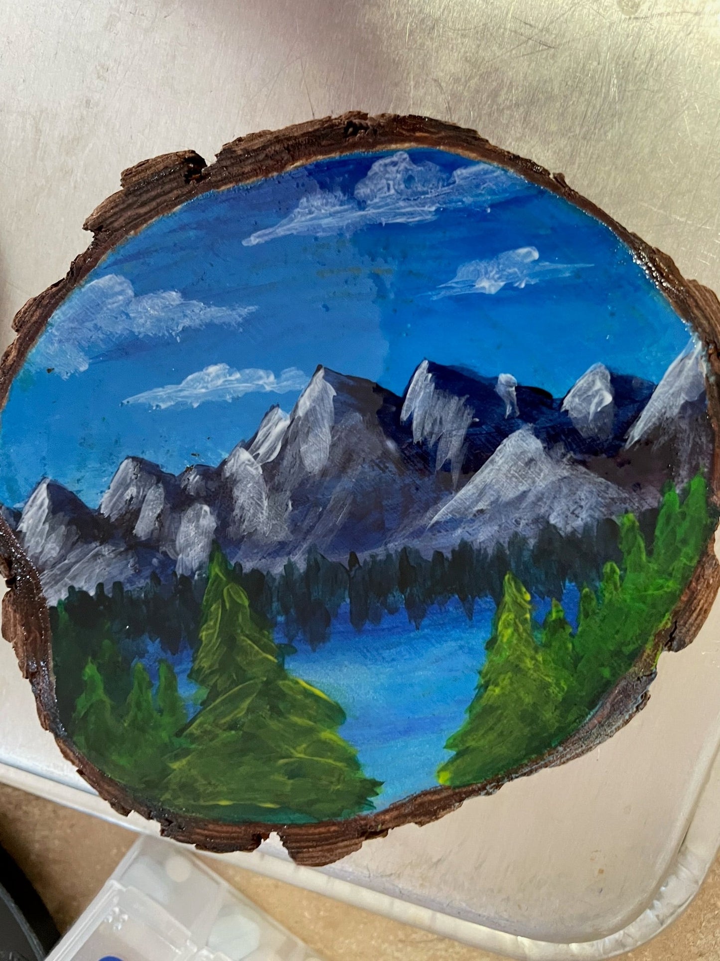 Resin Tree Coasters - Mountainscape