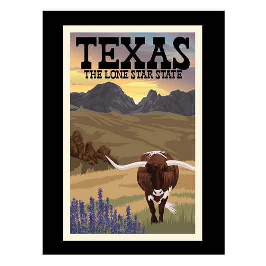 Texas Poster