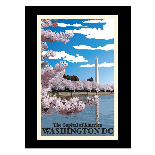 Washington DC Poster